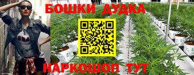 mdma Дубна