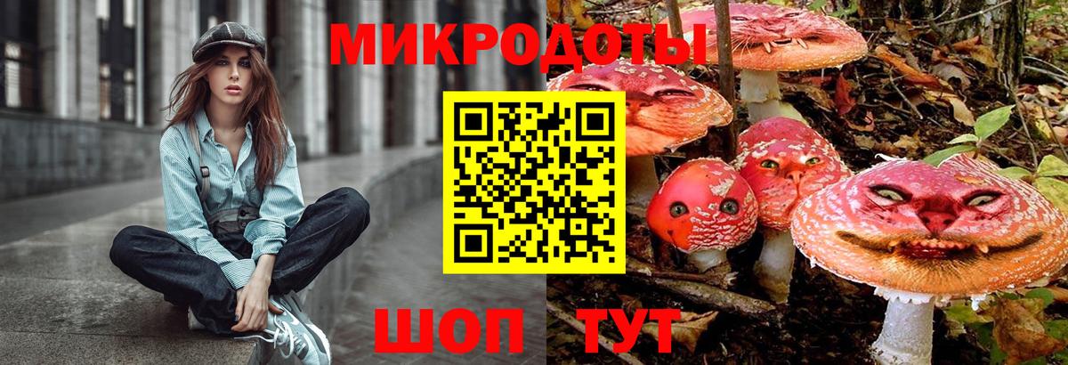Псилоцибиновые грибы Magic Shrooms Россия