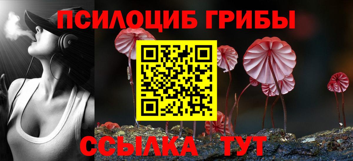 Россия  Галлюциногенные грибы мицелий  Вход с VPN 
